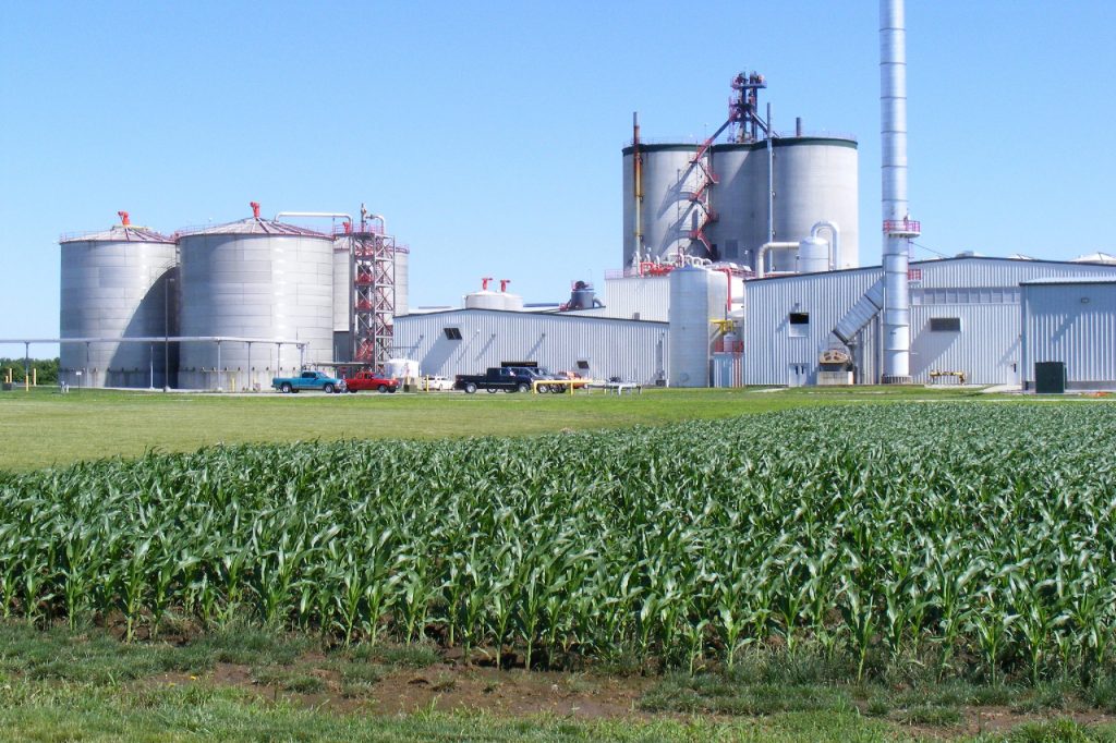 How do we get ethanol from corn picture